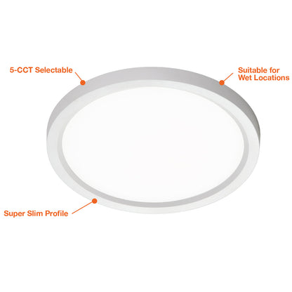 12 Surface Mount Round: Slim-Line