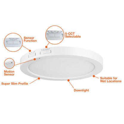 12 Surface Mount Round: Slim-Line